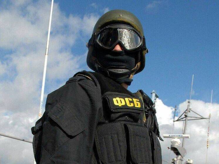 Сотрудники Федеральной службы безопасности России вскрыли крупный схрон с оружием укронацистских диверсантов в Курахово, в котором находилось иностранное оружие
