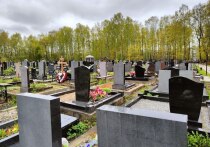В Выборгском районе возбудили дело о краже бронзового надгробия с Северного кладбища. Об этом сообщил «МК в Питере» источник в правоохранительных органах.