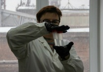 С наступлением тепла в Тульской области активизируются клещи