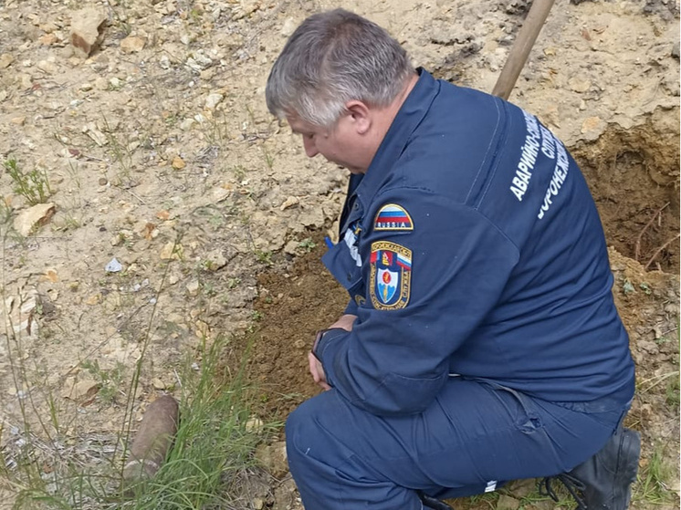 В Воронежской области уничтожили боеприпасы