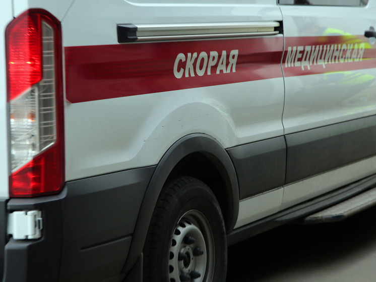 Более 30 раз за сутки огнеборцы Подмосковья выезжали на пожары