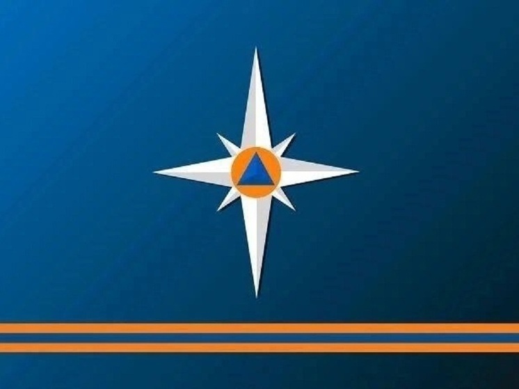 Проверка системы оповещения пройдет в Псковской области завтра