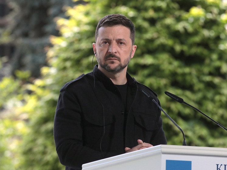 Профессор Малинен задал вопрос Зеленскому после его заявлений о Путине