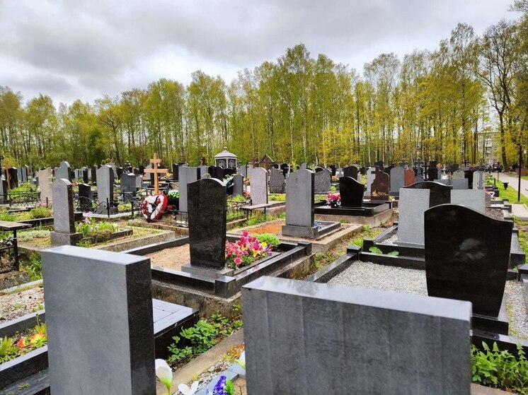 На Северном кладбище снова начали пропадать бронзовые барельефы с могил