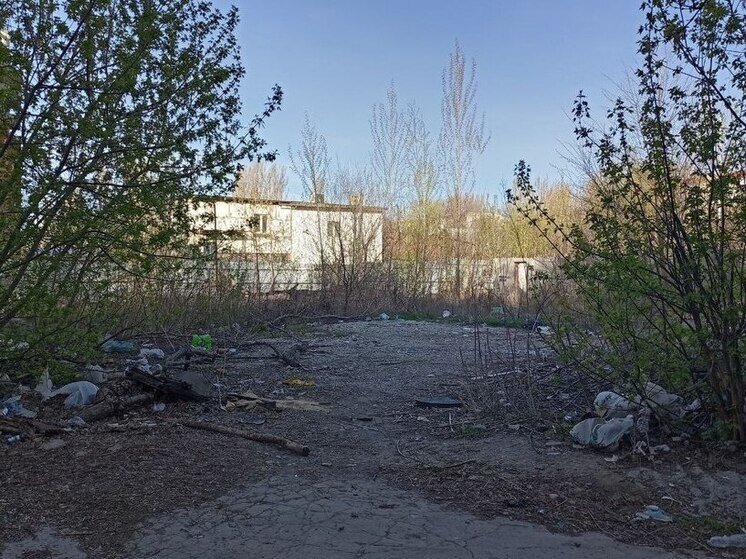 Больше всего несанкционированных свалок в регионе обнаружили в Саратове