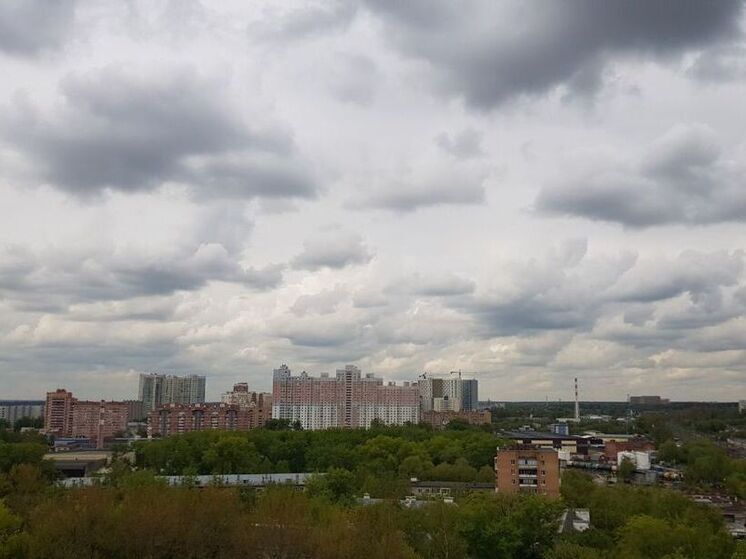 На востоке Подмосковья уже начался обещанный дождь