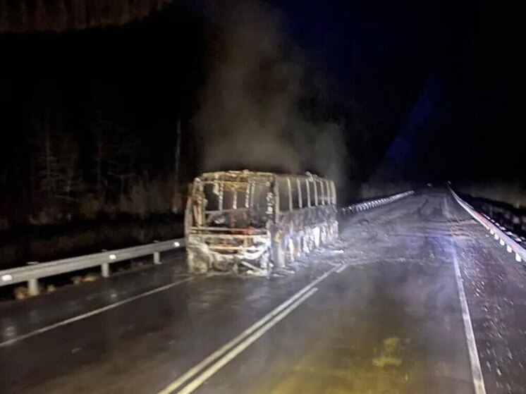 Рейсовый автобус сгорел на трассе в Хабаровском крае