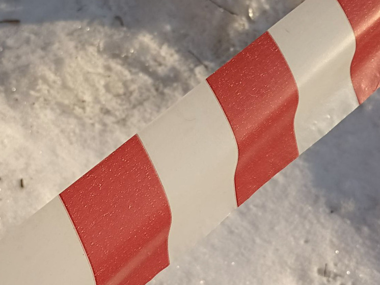 В Мурманске начали расследование по факту гибели пенсионерки в результате пожара на Ломоносова