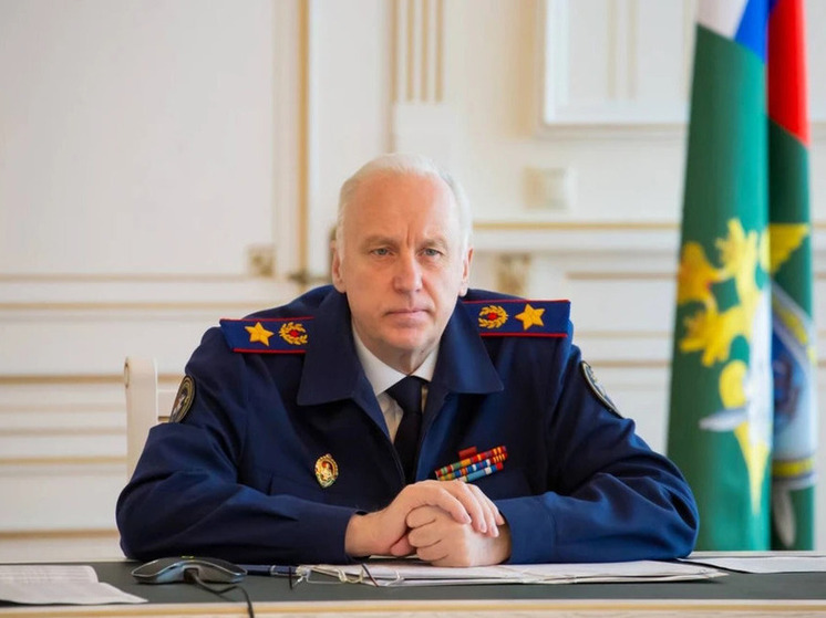 Бастрыкин заинтересовался разбитой дорогой в Томской области