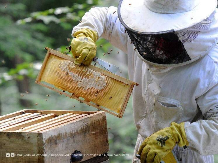 Херсонские пчеловоды возобновляют пасечный сезон