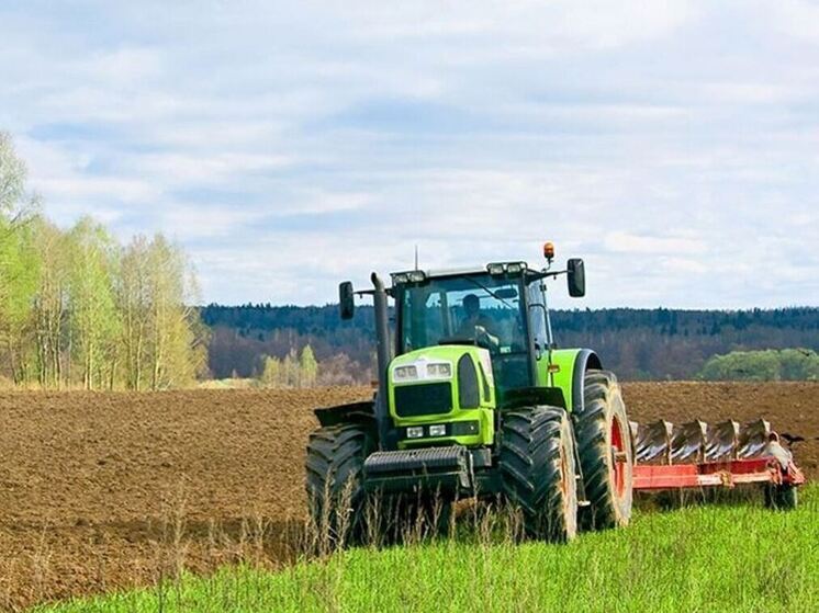 В Гатчинском округе посеяли более половины из запланированного объема зерновых