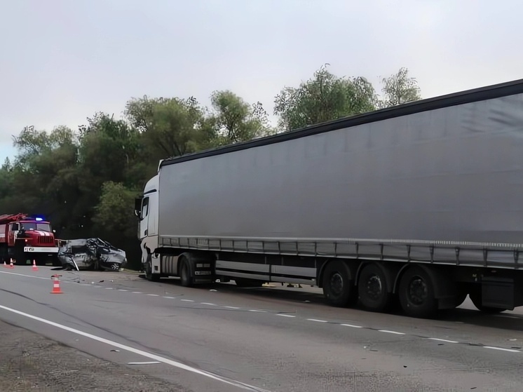 В Омской области по требованию прокуратуры семье погибшего в ДТП водителя выплатят 1,7 миллиона рублей