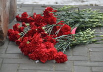 Битва за Кавказ, продолжавшаяся с июля 1942 года по октябрь 1943 года, стала одним из ключевых этапов Великой Отечественной войны
