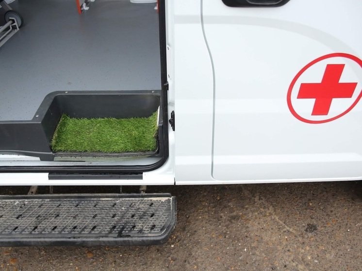 В массовом ДТП под Волгоградом пострадали две девочки