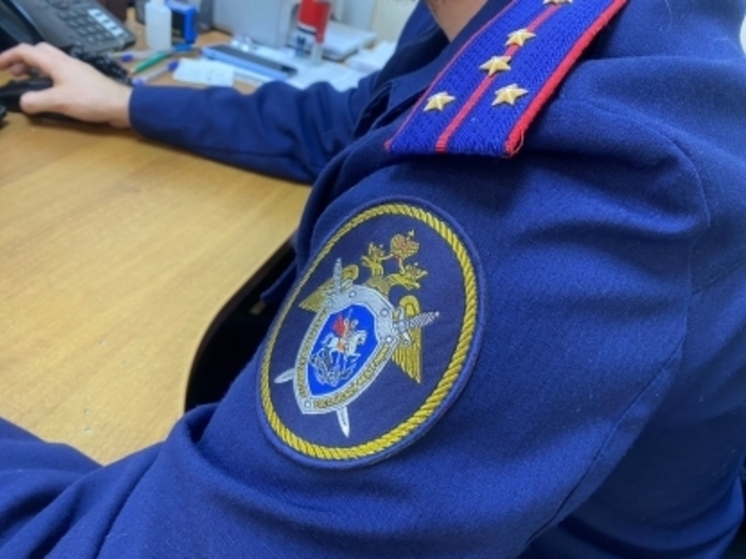 Глава Следкома поручил проверить информацию об агрессивных собаках в Сочи