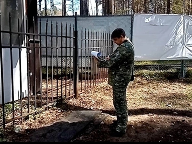 Судмедэксперты не нашли следов изнасилования на теле погибшей на заборе пермячки