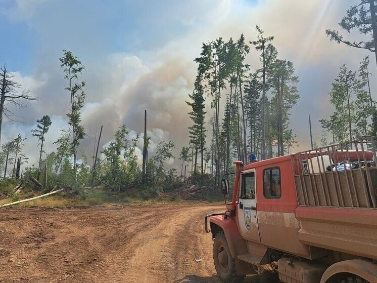 На территории шести лесничеств Иркутской области открыт пожароопасный сезон