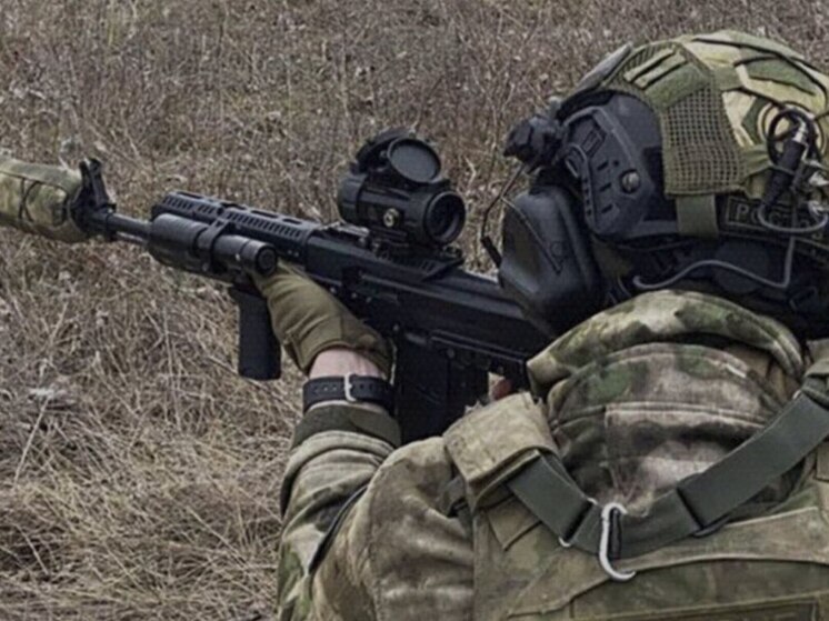 Миролюбовка под Димитровом взята под контроль армии России