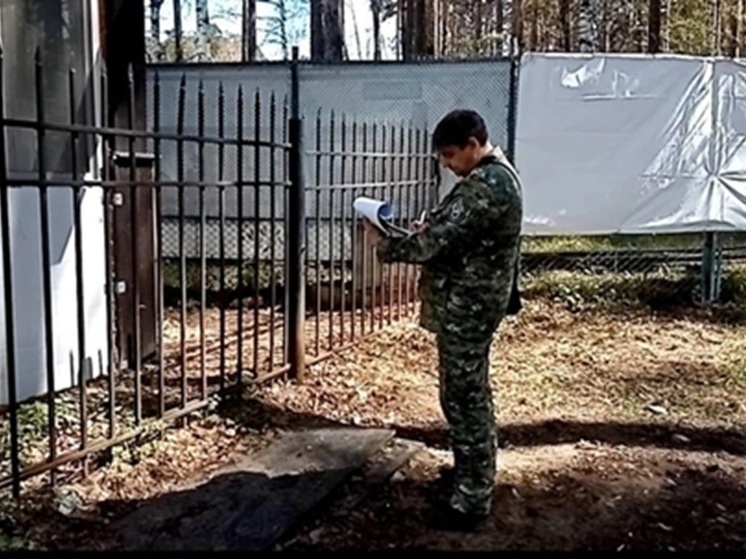Пермяки требуют закрыть бар «Пиво/Мясо», где в ночь на 11 мая на металлическом штыре забора нашли тело девушки