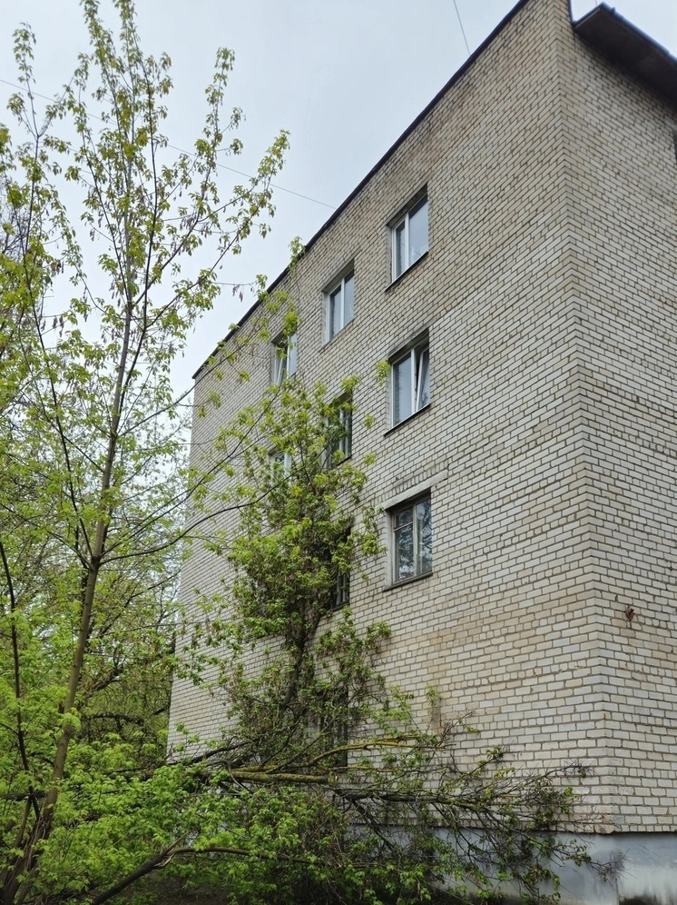 В Тверской области дерево рухнуло на многоквартирный дом