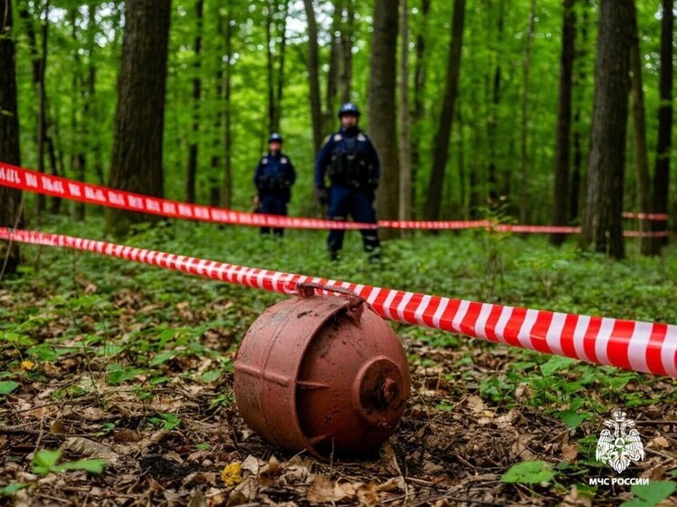 Псковичам рассказали, что делать при обнаружении взрывоопасного предмета