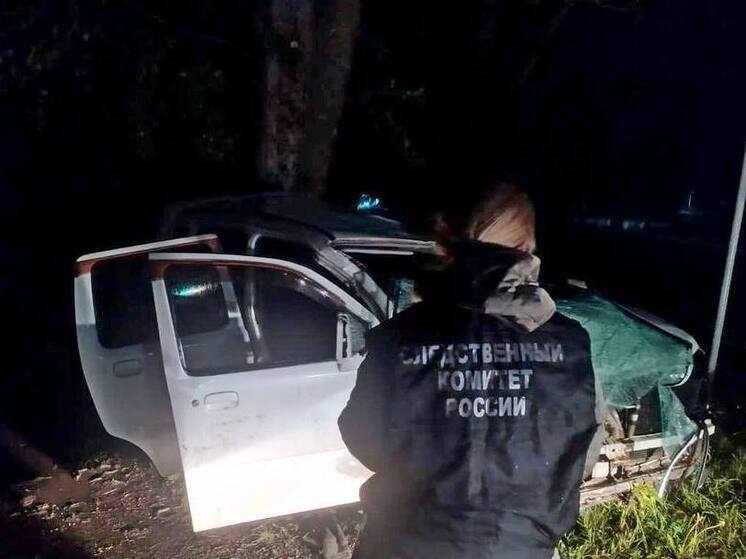 Выпившая мать погубила сына в ДТП: под Воронежем возбуждено уголовное дело