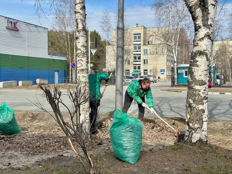 Сургутяне вышли на субботник к юбилею Победы