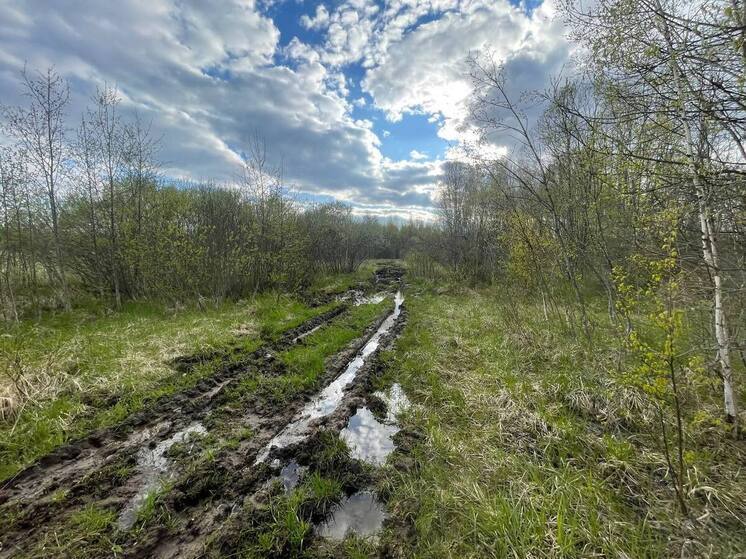 Дорога на кладбище в деревне Богданово превратилась в непроходимое болото даже для тракторов. Куда там местным жителям в резиновых сапогах и на внедорожной технике. Корреспондент «МК в Великом Новгороде» приехал в новгородскую глубинку и убедился в проблеме. 