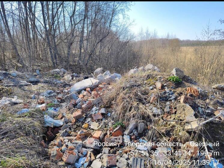 После проверки в ЗАТО Озерный Тверской области убрали незаконную свалку