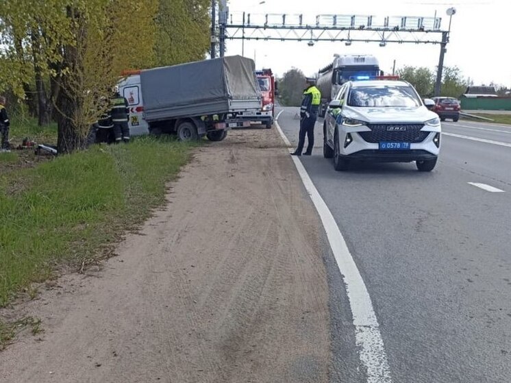 В Кингисеппском районе «Газель» врезалась в дерево: водитель погиб