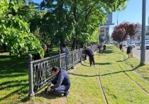 Санитарный марафон к восьмидесятилетию Победы в кубанской столице завершился общегородским субботником
