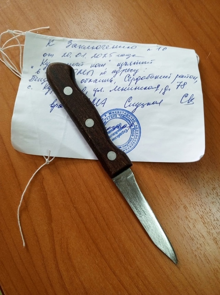 Пенсионер из Сердобского района получил условный срок за изуродование лица приятеля ножом