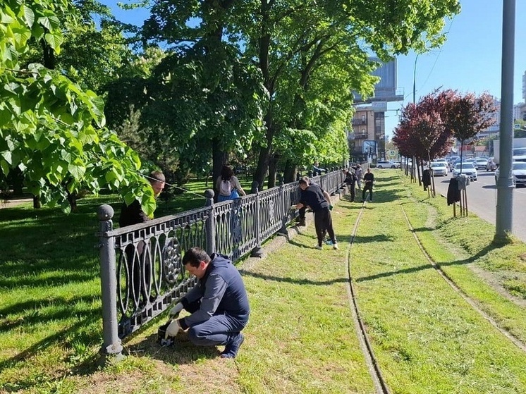 В Краснодаре санитарный марафон к 80-летию Великой Победы завершился общегородским субботником