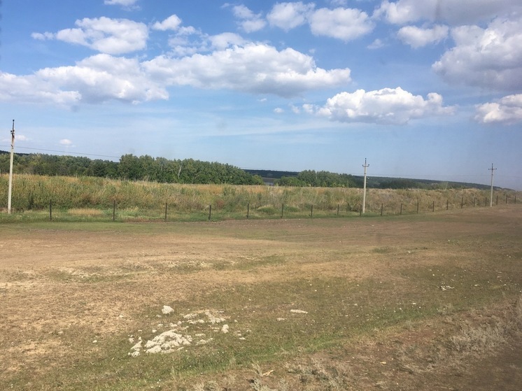 В Саратовской области Россельхознадзор развернул грузовик без документов