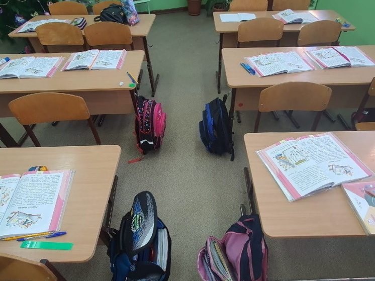 Омские педагоги обмениваются опытом с коллегами из Стаханова