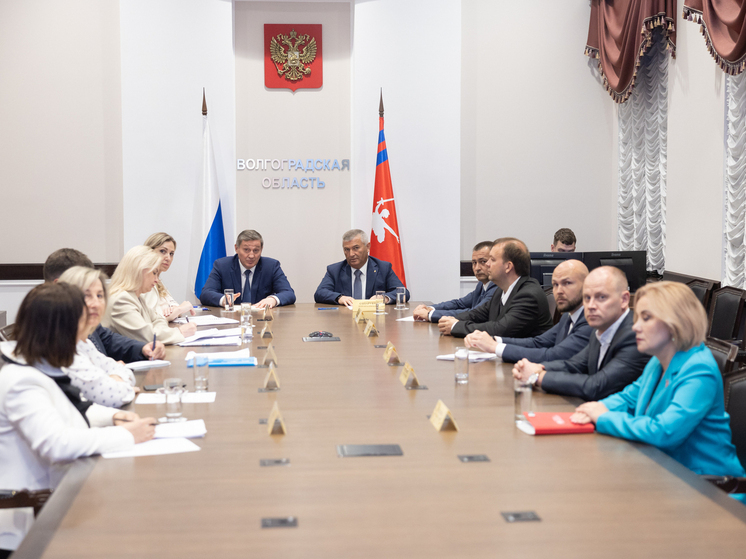 Андрей Бочаров принял участие в совещании с Владимиром Путиным