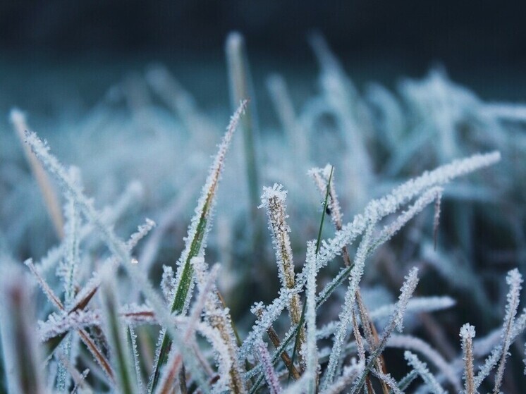 В Калужском регионе продолжаются ночные морозы