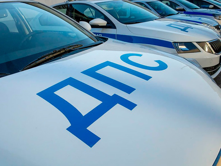 Тамбовские автоинспекторы проведут рейд по соблюдению правил перевозки детей