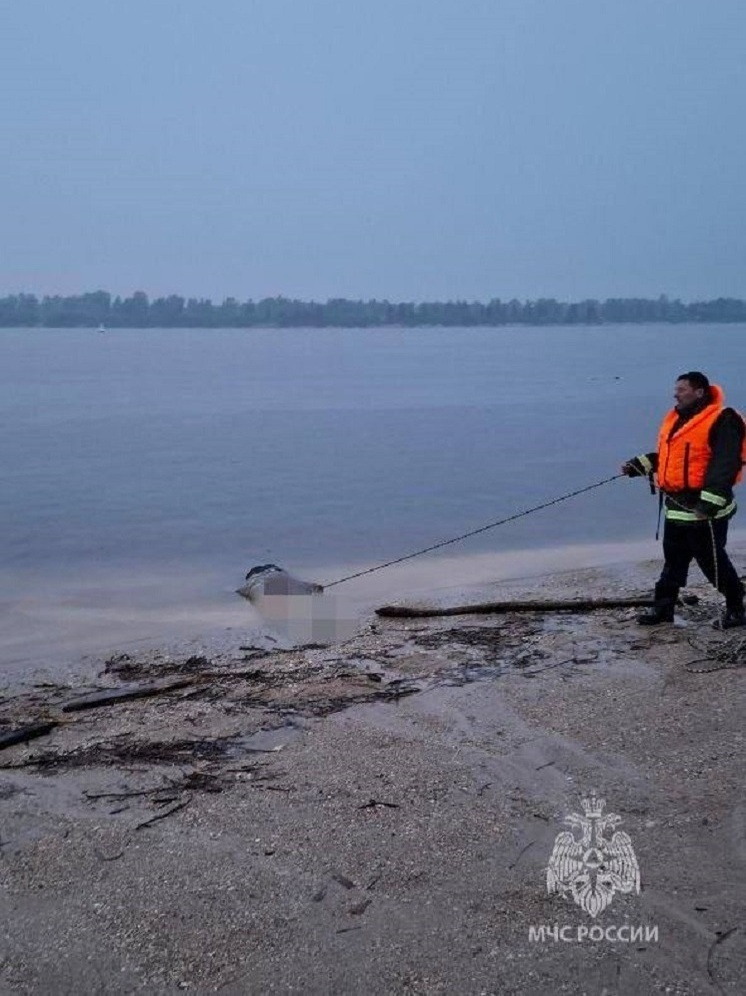 Мужчина утонул в Волге в Нижегородской области