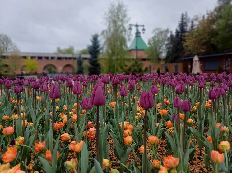 Пасмурно и +15°C прогнозируется в Нижнем Новгороде 14 мая