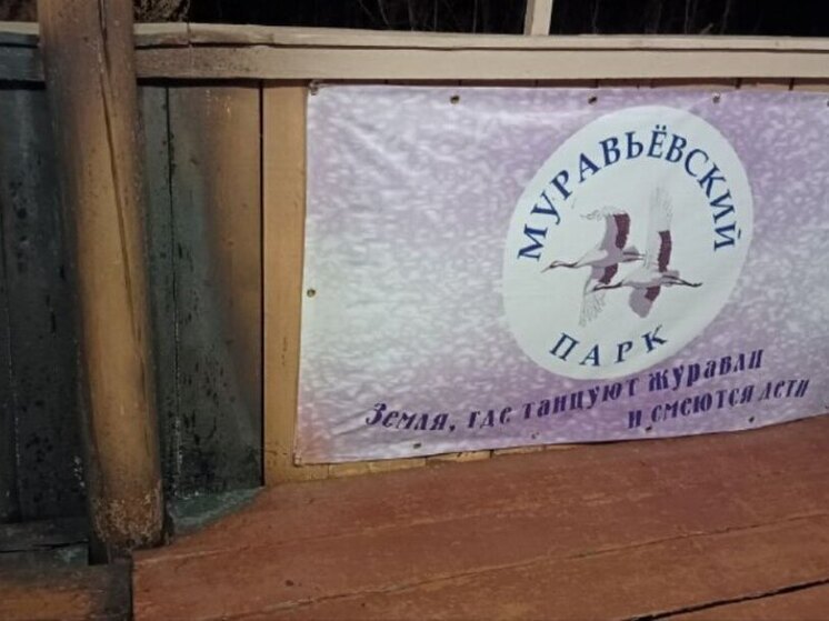 После крупного пожара в Муравьевском заказнике и парке в Приамурье началась проверка