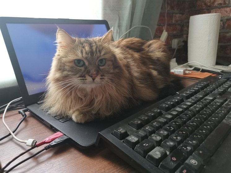 Стало известно, какая погода ожидает Приморье в среду, 14 мая