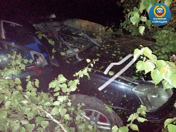 В Алтайском крае девушка-подросток устроила ДТП, в котором погибла ее мама