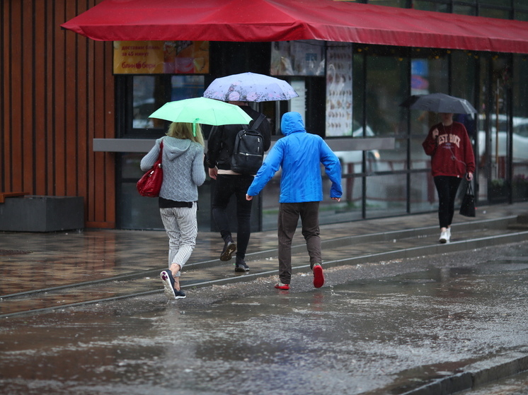 В Волгоградскую область 14 мая придут дожди при +20 градусах