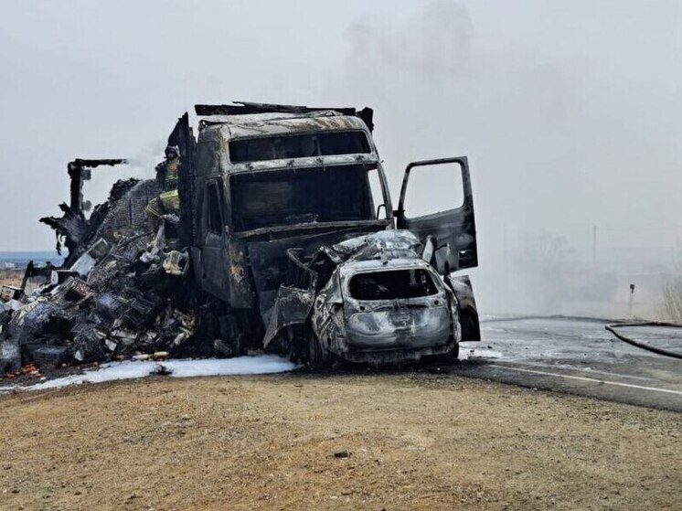 Водитель Honda погиб в ДТП с фурой на трассе под Читой