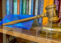 Прокуратура Муромцевского района Омской области подтвердила законность возбуждения уголовного дела в отношении 20-летней женщины, обвиняемой в ненадлежащем выполнении обязанностей по воспитанию своего несовершеннолетнего сына, что привело к трагическим последствиям