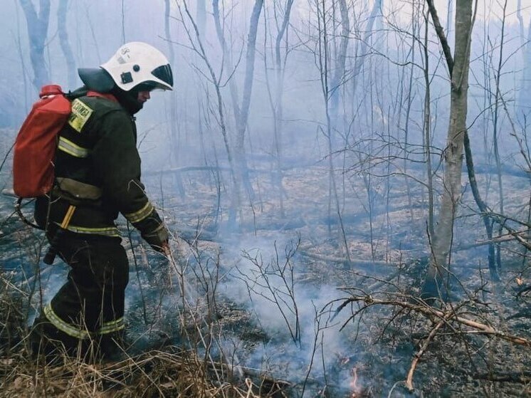 Спасатели не смогли добраться до лесного пожара в Карелии