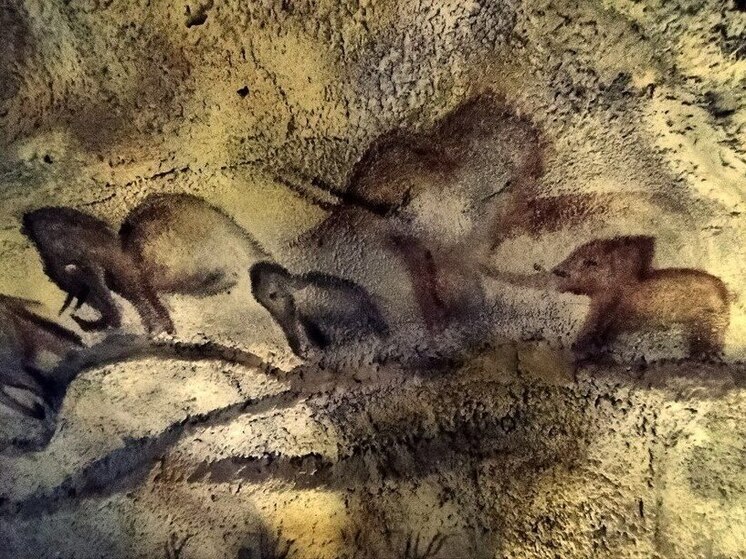 Бесплатно посетить Гродековский и археологический музеи смогут хабаровчане 18 мая