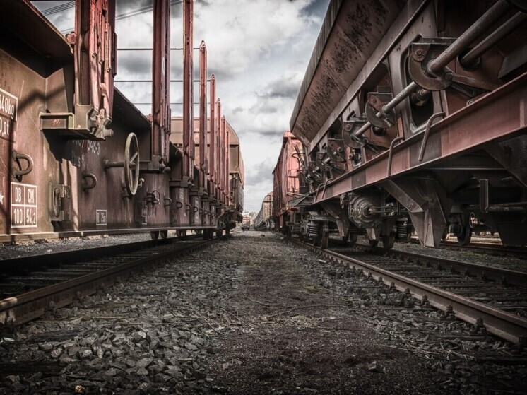 Необычного «зайца» сняли полицейские с грузового поезда в Приморье: ехал в самосвале