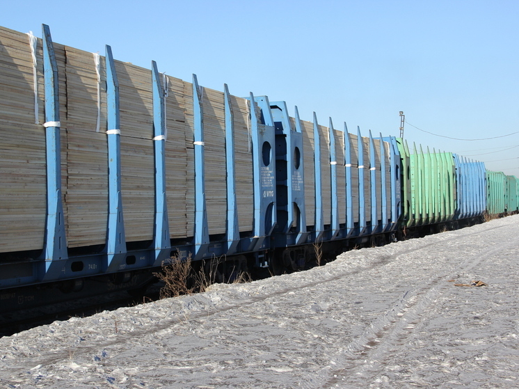 Иркутянина осудили за контрабанду лесоматериалов на 580 млн